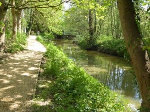 Riverside path behind Tesco in Diss