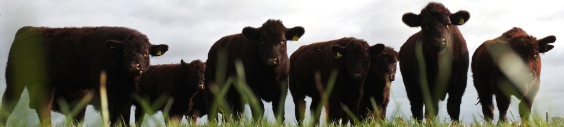 River Waveney Trust Farming