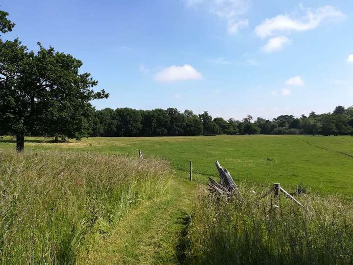 View from top meadow